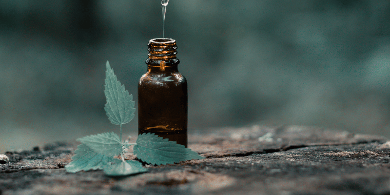 Exploring the Gentle Power of Homeopathy: