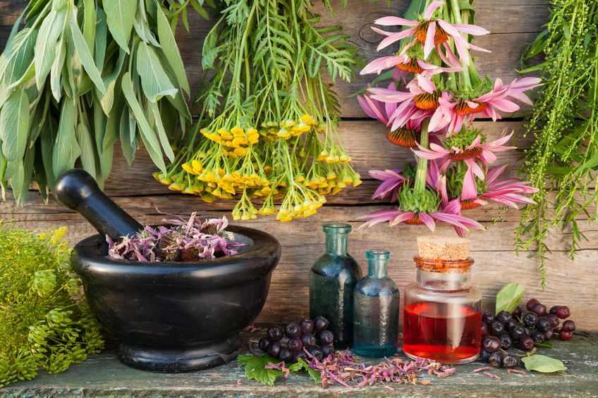 healing herbs